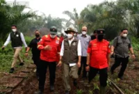 APL — Greenpeace Indonesia mengingatkan Menteri Kehutanan terkait penanganan kebakaran hutan dan rencana larangan sawit.