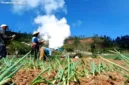 Warga sekitar menolak kelanjutan proyek panas bumi Gunung Ungaran karena khawatir mengancam lingkungan dan sumber air.