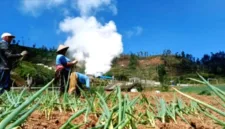 Warga sekitar menolak kelanjutan proyek panas bumi Gunung Ungaran karena khawatir mengancam lingkungan dan sumber air.