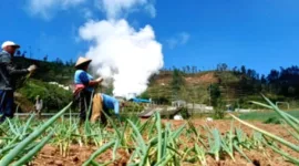 Warga Menolak, Proyek Panas Bumi Ungaran Berlanjut
