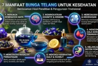 khasiat bunga telang — Bunga telang berwarna biru cerah yang mekar di atas dedaunan hijau