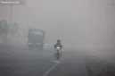 Warga Kalimantan Selatan menghadapi krisis air bersih dan ancaman kebakaran hutan yang melanda perkebunan warga.