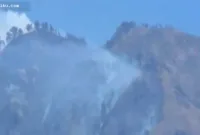 Kebakaran Hutan Puncak — Kepulan asap hitam dari kebakaran hutan dan lahan di puncak Gunung Wilis dengan medan curam.