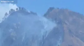 Kebakaran Hutan di Puncak Gunung Wilis Sulit Dipadamkan