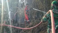 Pemerintah mengerahkan 64 pesawat dan 54 ribu personel gabungan untuk menanggulangi kebakaran hutan dan lahan.