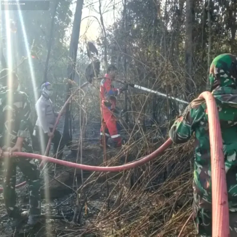 penanggulangan karhutla — Pengerahan personel gabungan dan pesawat untuk operasi pemadaman kebakaran hutan dan lahan di Indonesia.