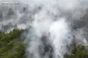 Kabupaten Kotawaringin Timur di Kalimantan Tengah mencatatkan kualitas udara terburuk akibat kebakaran hutan dan lahan.