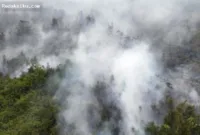 Kotawaringin Timur Terburuk — Kabut asap tebal akibat kebakaran hutan di Kotawaringin Timur yang mencatatkan polusi udara terburuk di Kalimantan.