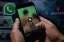 Polres Wakatobi tengah menyelidiki kasus penyebaran video asusila berdurasi 6 menit 11 detik yang meresahkan warga.