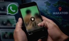 Video Mesum 6 Menit 11 Detik di Wakatobi Diselidiki Polisi