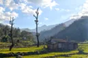 Krisensia Naben dan suaminya menyemai benih padi di sawah keluarga mereka di Desa Noepesu dekat Gunung Mutis.