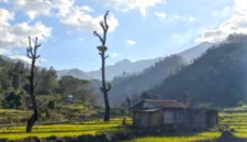 Krisensia Naben dan suaminya menyemai benih padi di sawah keluarga mereka di Desa Noepesu dekat Gunung Mutis.