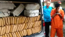 Polda Metro Jaya berhasil menyita 62,5 kg ganja dan menangkap dua tersangka di Petamburan, Jakarta Barat.