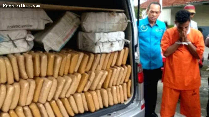 Polda Metro Jaya — Polisi menangkap dua pria dan menyita barang bukti ganja seberat 62,5 kilogram di kawasan Petamburan, Jakarta Barat.