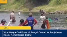 Viral Warga Cari Emas di Sungai Comal, Ini Penjelasan Resmi Kementerian ESDM