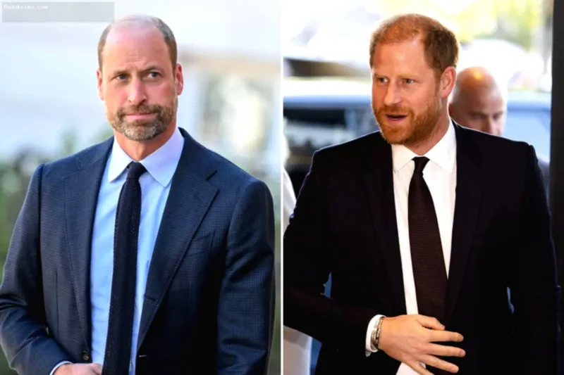 Pangeran William dan Pangeran Harry kompak menghindari pertanyaan awak media terkait memoar Putri Diana.