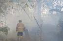 Kebakaran lahan tebu di Wonoasri Madiun merembet dan membakar area sekitar kandang kambing milik warga.