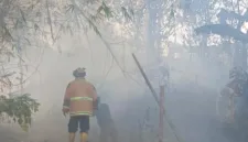 Kebakaran lahan tebu di Wonoasri Madiun merembet dan membakar area sekitar kandang kambing milik warga.