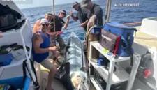 Kapten Alec Stockfelt bersama krunya berhasil menangkap ikan blue marlin seberat 648 pon di perairan San Diego.