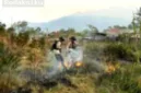 Aktivitas penerbangan di Bandara Wamena kembali normal seiring berkurangnya kabut asap di kawasan Pegunungan Tengah.