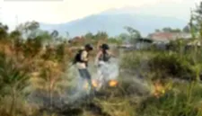 Aktivitas penerbangan di Bandara Wamena kembali normal seiring berkurangnya kabut asap di kawasan Pegunungan Tengah.