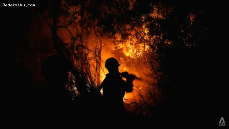 Petugas pemadam menyemprotkan air untuk memadamkan kebakaran hutan dan lahan di Ogan Ilir, Sumatra Selatan.