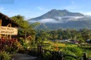 Desa Wisata Tamansari di Banyuwangi menawarkan perpaduan keindahan alam lereng Gunung Ijen dan kehidupan lokal masyarakat.