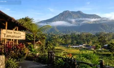 Pesona Alam dan Kehidupan Lokal di Desa Wisata Tamansari Banyuwangi