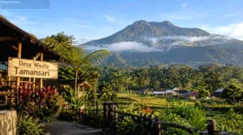 Pesona Alam dan Kehidupan Lokal di Desa Wisata Tamansari Banyuwangi