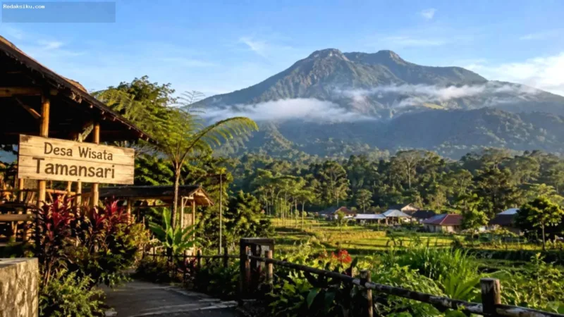 Lanskap lereng Gunung Ijen dan aktivitas warga di Desa Wisata Tamansari Banyuwangi