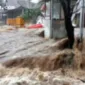 Banjir Bandang Terjang Pasaman: Satu Orang Dilaporkan Hilang