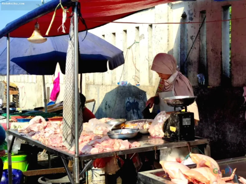 manfaat makan usus ayam — Usus ayam yang telah dimasak dengan bumbu kuning dalam piring saji