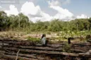 Hutan adat tumbek di Bangka Belitung dijaga kelestariannya oleh masyarakat adat Suku Mapur demi kelangsungan sumber air bersih.