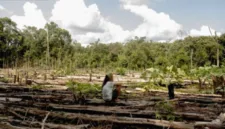 Hutan adat tumbek di Bangka Belitung dijaga kelestariannya oleh masyarakat adat Suku Mapur demi kelangsungan sumber air bersih.