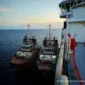 Cek rekomendasi saham & prospek Elnusa (ELSA) yang ditopang aktivitas hulu Pertamina