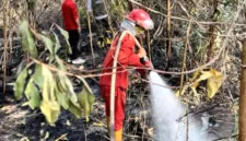 Polri menetapkan 113 tersangka kasus kebakaran hutan dan lahan hingga September 2026.