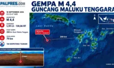 Gempa M4,4 Guncang Maluku Tenggara Dini Hari Tadi
