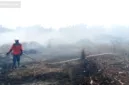 Pemerintah mengerahkan 64 pesawat dan 54.394 personel untuk menangani kebakaran hutan dan lahan di berbagai wilayah Indonesia.