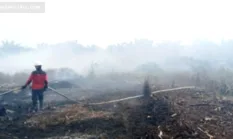 Setkab Teddy: 64 Pesawat dan 54.394 Personel Tangani Karhutla
