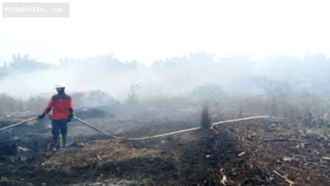 penanganan karhutla — Personel gabungan dan pesawat dikerahkan pemerintah untuk memadamkan kebakaran hutan dan lahan di Indonesia