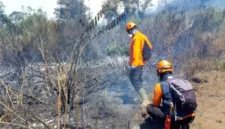 Kawasan Gunung Semeru kini dinyatakan bebas dari titik api setelah kebakaran melanda 3.072 hektare lahan.