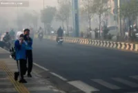 dampak buruk asap — Seorang warga di Kampung Pengayuan, Banjarbaru, mengamati lahan gambut yang kering akibat ancaman kebakaran hutan dan lahan.