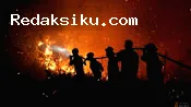 18 Orangutan Diselamatkan dari Karhutla di Kalimantan Barat 18 Orangutan Diselamatkan dari Karhutla di Kalimantan Barat