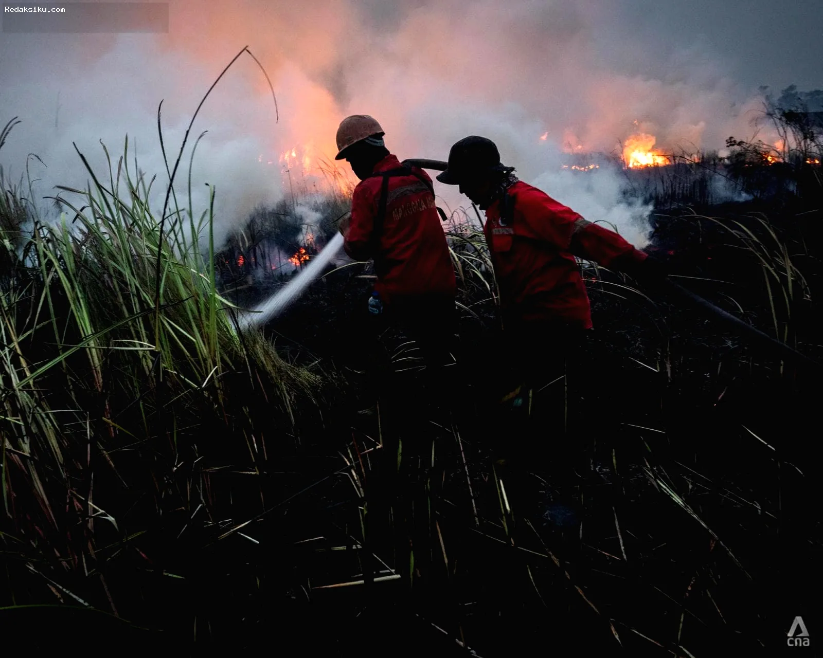 Perjuangan Petugas di Garis Depan Karhutla Sumatra