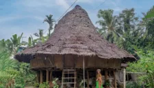 Wakil Gubernur Banten Achmad Dimyati Natakusumah mengajak kolaborasi untuk mewujudkan daerahnya sebagai lumbung pangan.
