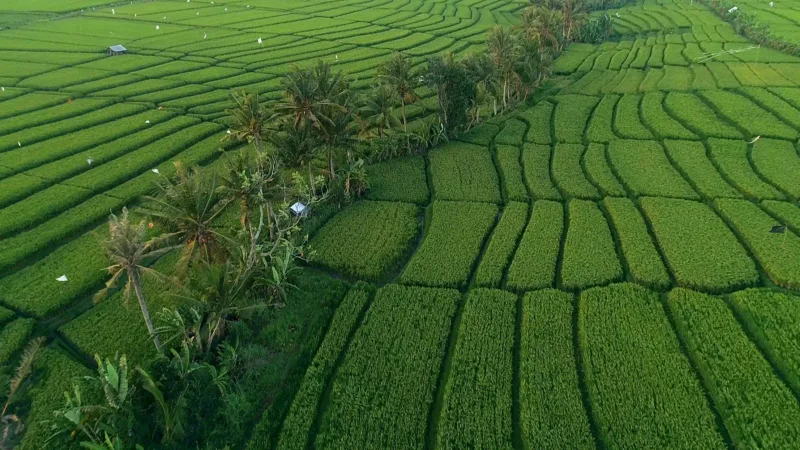 Peta lokasi dan kawasan Taman Nasional Wasur di Merauke, Papua