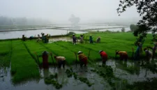 Pemerintah memperketat pengawasan jalur perdagangan untuk melindungi petani lokal dari dampak buruk impor beras ilegal.
