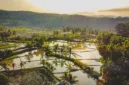 Perhutani merangkul 61 ribu penyadap untuk mengoptimalkan produksi getah pinus guna meningkatkan kesejahteraan masyarakat sekitar hutan.
