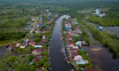 Sanksi Karhutla, 6 Perusahaan di Kalimantan Disanksi Menhut