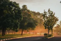 Kondisi kabut tebal menyelimuti ruas jalan Tol Palembang-Indralaya pada 6 September 2026.